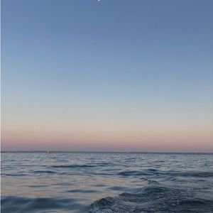 Meet your Posher, Oden